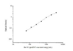 Novus Biologicals™ Rat NT-proBNP ELISA Kit (Colorimetric)